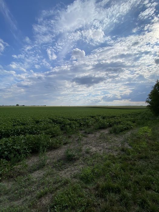 Продам земельну ділянку Обарів