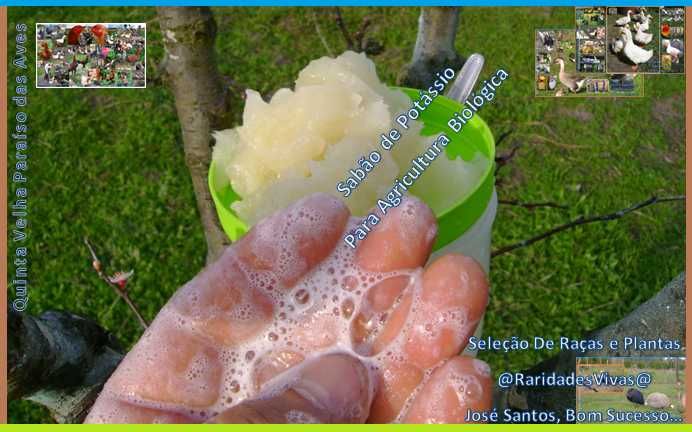 Sabão de Potássio Puro para Plantas (Agricultura Biológica 950)