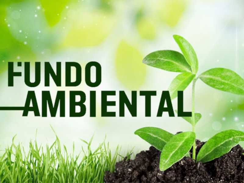 Preenchimento Fundo Ambiental