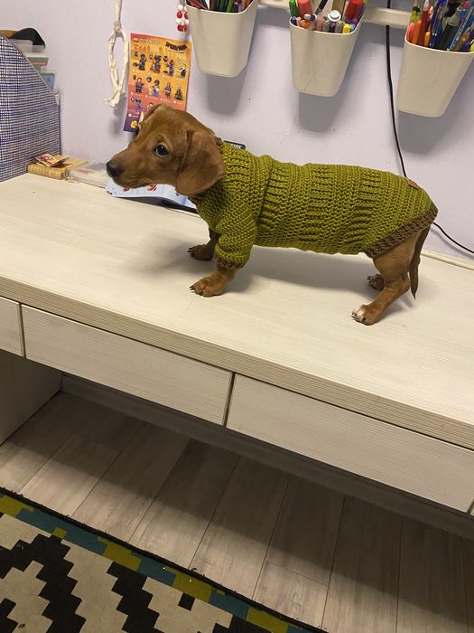Свитер одежда для собак ручная работа