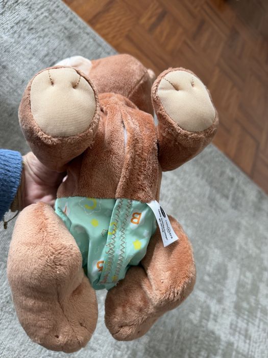 Teddy Gatinha Comigo