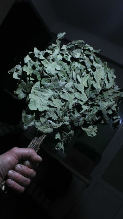 Продам веники для бани (качественные)