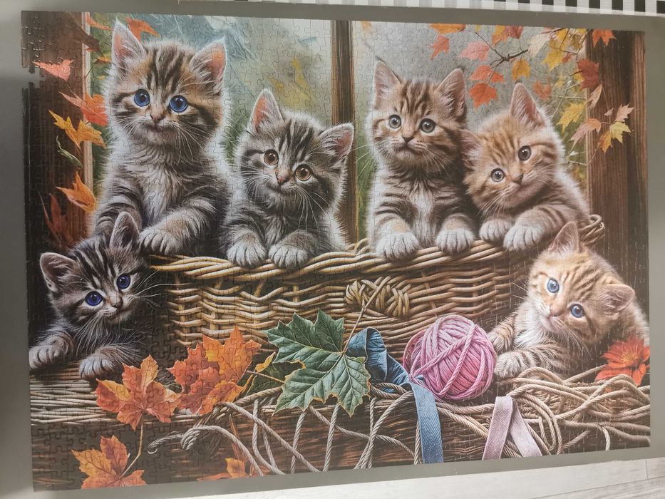 Puzzle 1000 szt. Kittens in a Basket