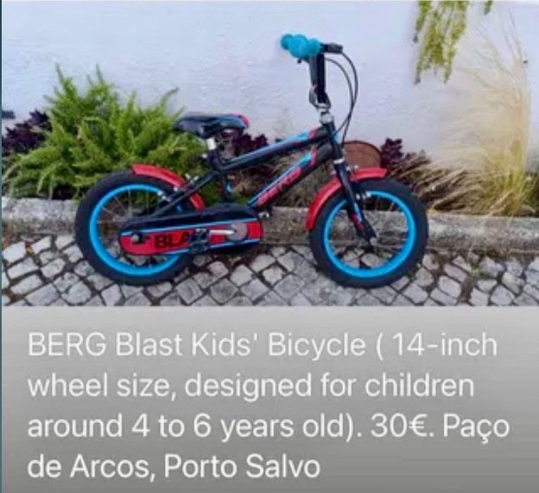 Bicicleta Infantil BERG Blast 14" (Roda 14) - 4 aos 6 Anos