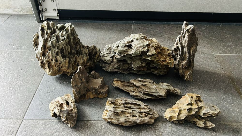 Dragon stone (aquario)
