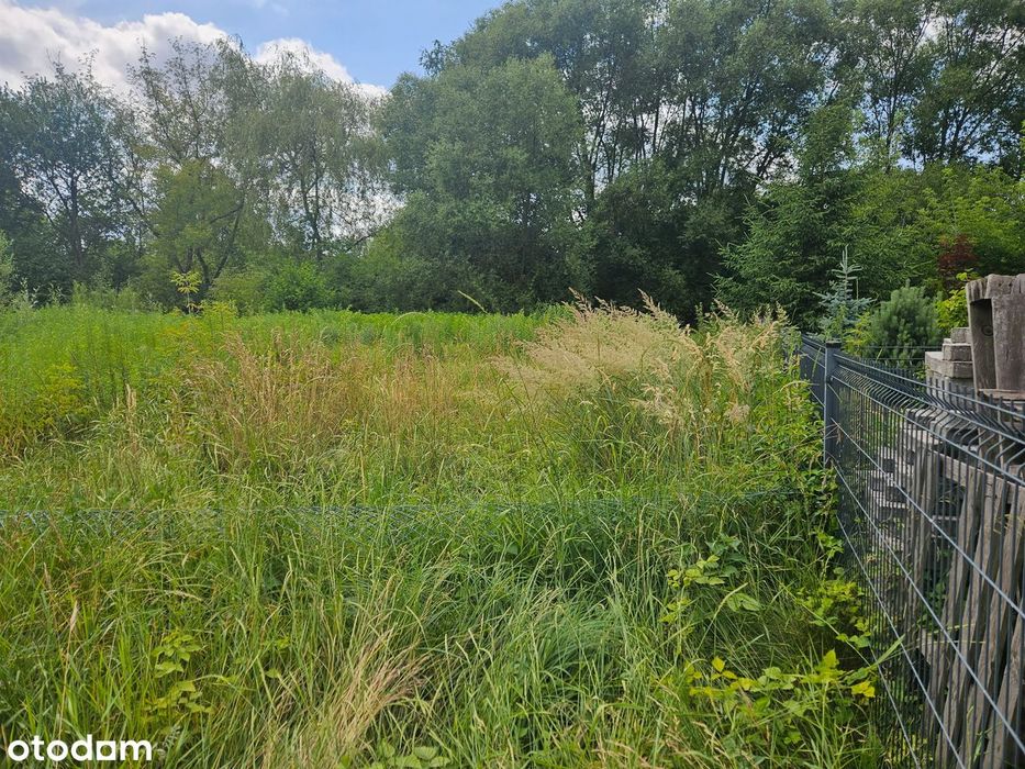 Działka budowlana 808 m² przy jeziorze Pogoria III, Dąbrowa Górnicza - Widok 3