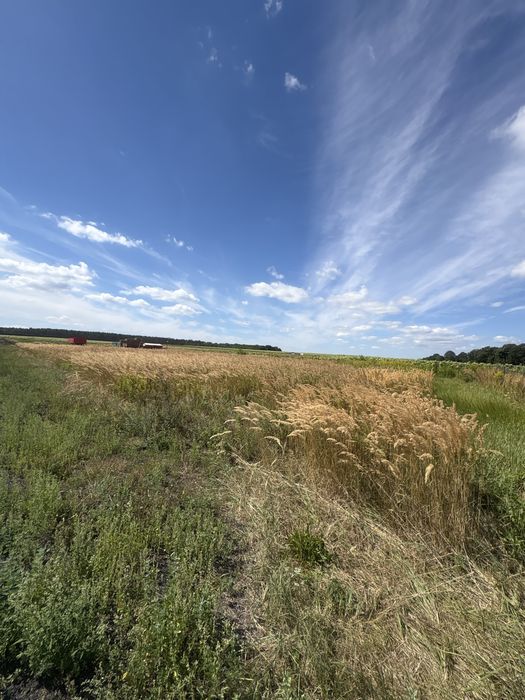 Działka budowlna Kopalina (gm. Jelcz-laskowice)