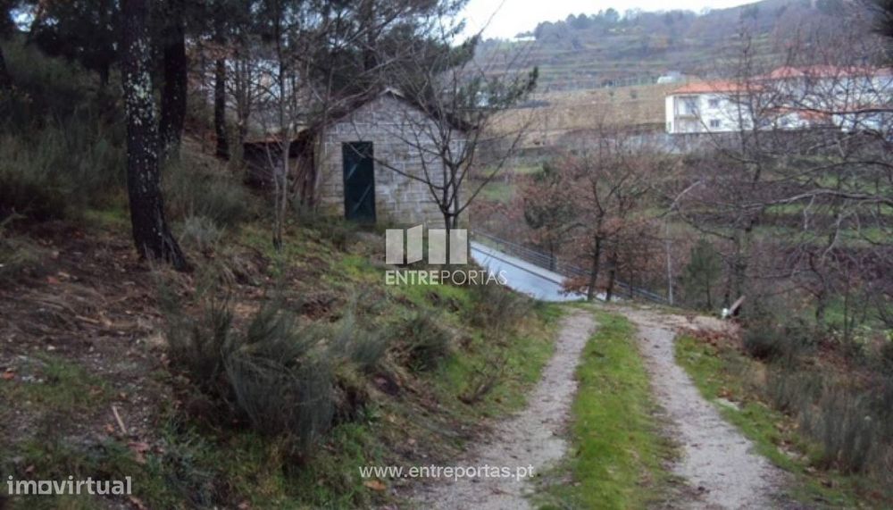 Venda Terreno, Campelo, Baião
