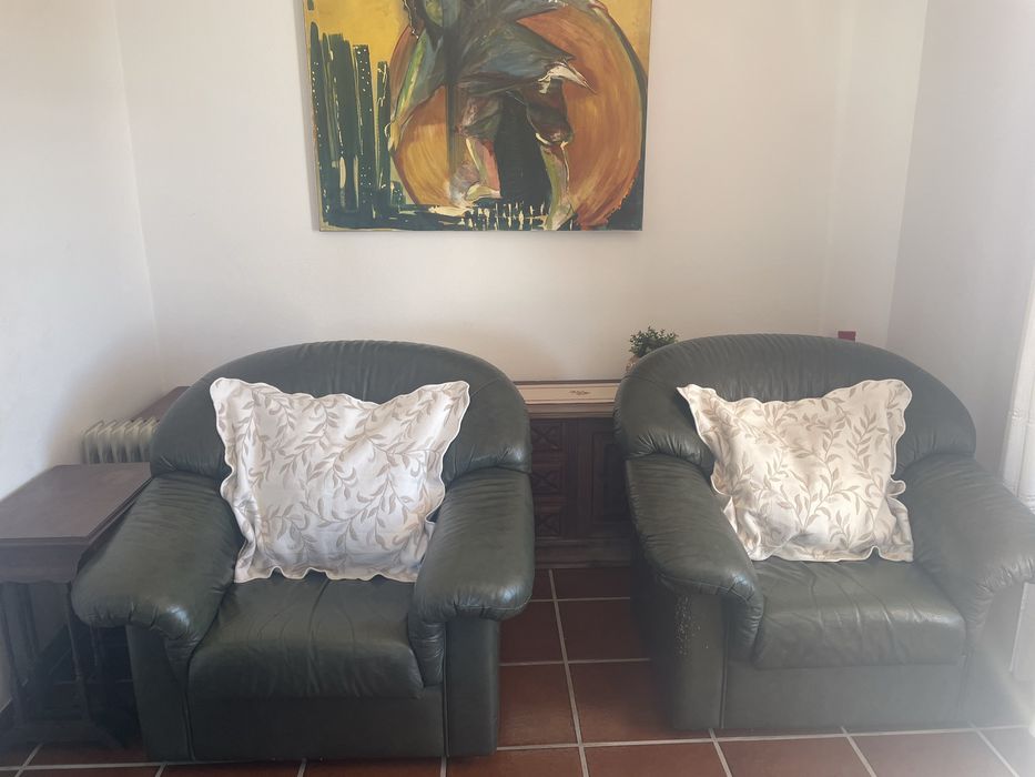 Sofas (terno) em pele verdadeira verde