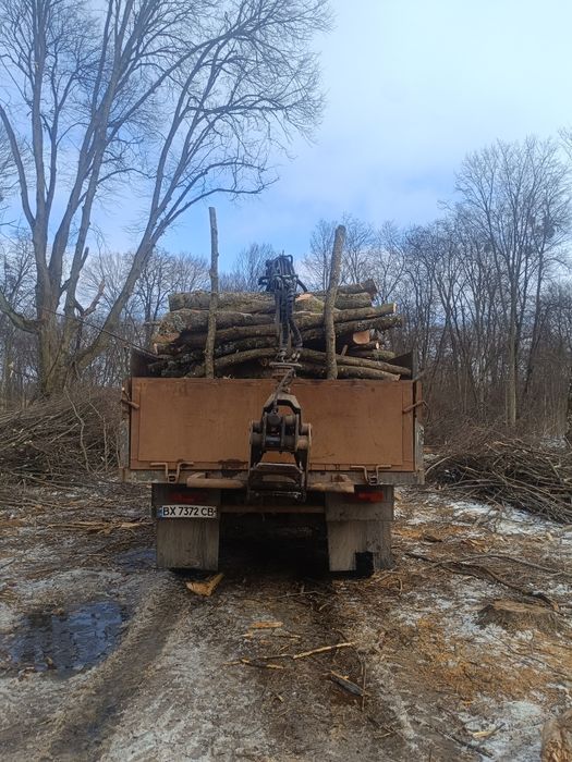 продам     дрова