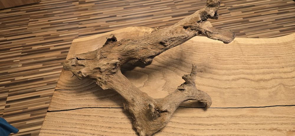 Korzeń do Akwarium Terrarium Ozdoba !!