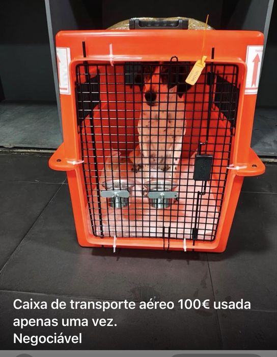 Caixa transportadora modelo europeu/ aviao