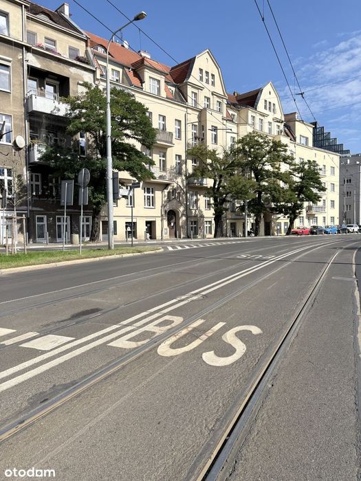 Zdjęcie 8