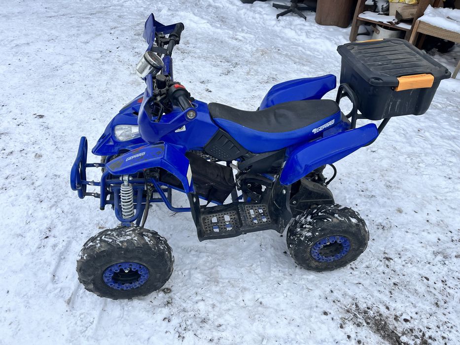 Quad Gepard Eco Cyclops 800W