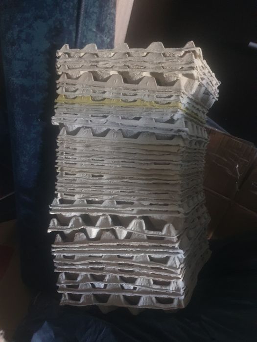 Wytłaczanki na jaja, pudełka na jaja