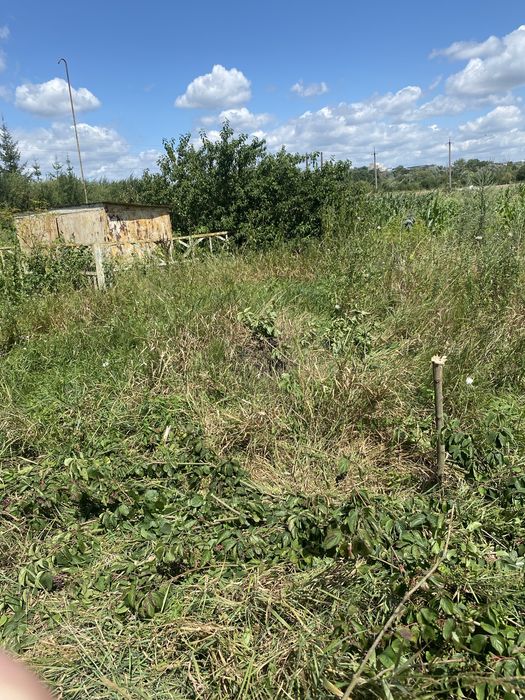 Продам земельну ділянку в Петриках