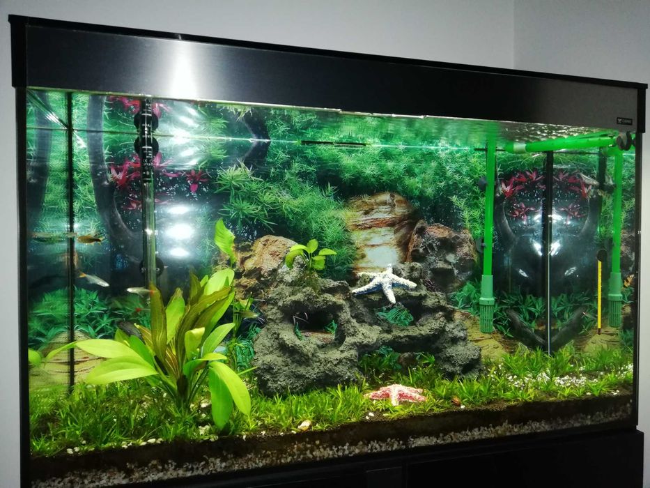 Aquario Ciano Emotions 100 (completo)