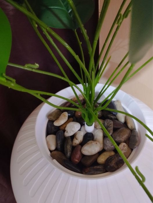 Туалет кошачий ..Хатинка для тваринок.