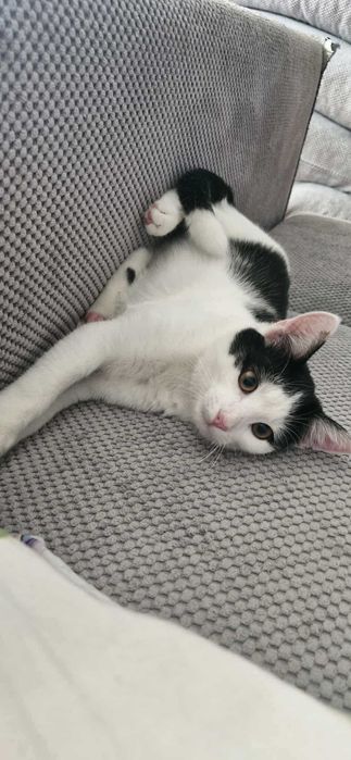 W domu tymczasowym dostałem ksywę Księgowy