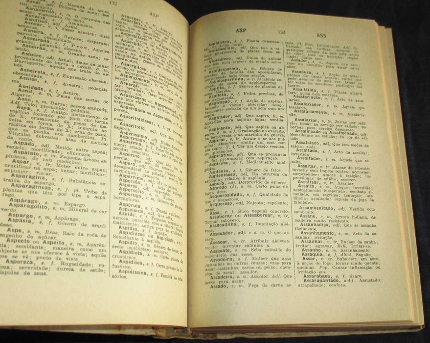 Livro Novo Dicionário da Língua Portuguesa Francisco Torrinha 1946