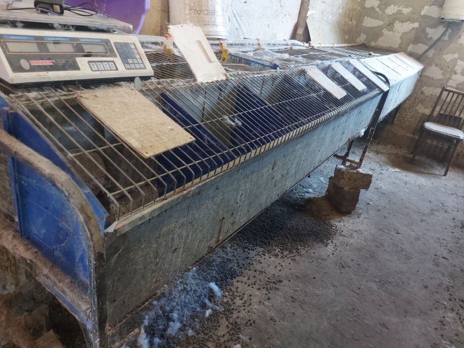 Маточні клітки кролячі