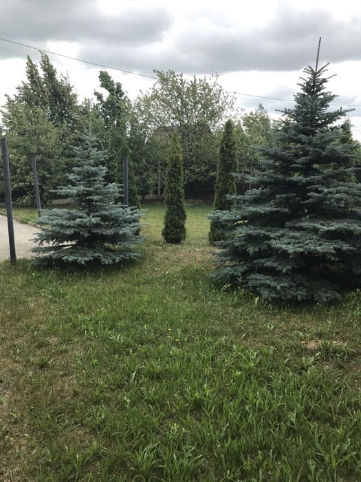 Продам новий дім із дерев'яного бруса , с Киїнка