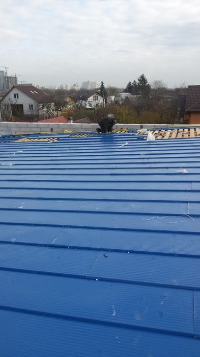 Забори ворота каліткі