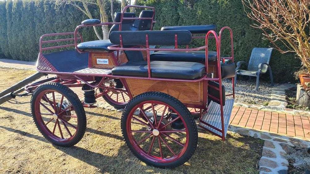 Bryczka konna Wagonetka Powóz Singiel - Para ''Glinkowski''