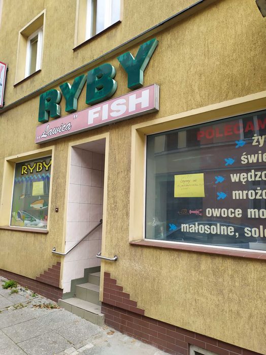 Wynajmę lokal w centrum Lidzbarka Warmińskiego