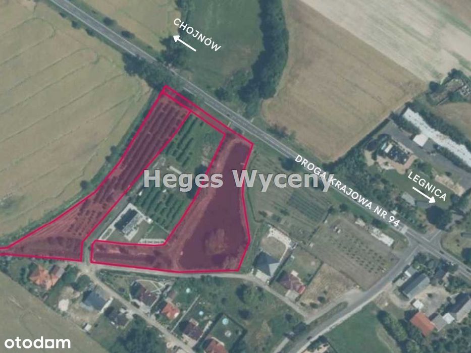 Staw rybny i teren zielony z wysokim potencjałem!
