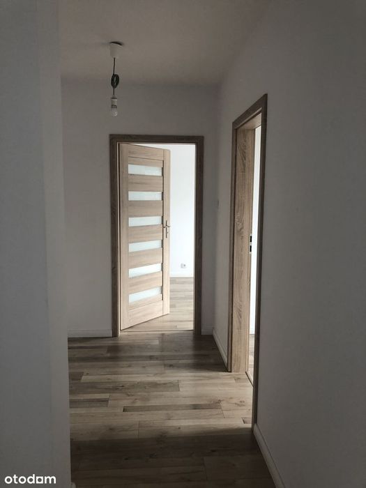 Zdjęcie 8