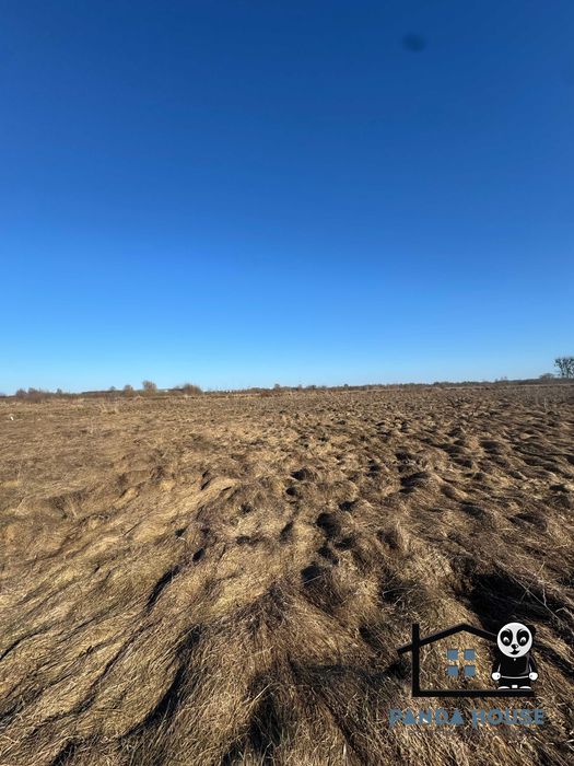 Продається земельна ділянка