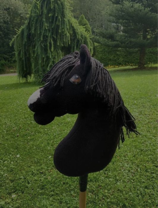 super hobby horse