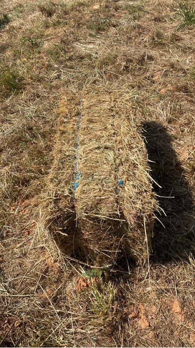 Fardos Feno Triticale Pequenos