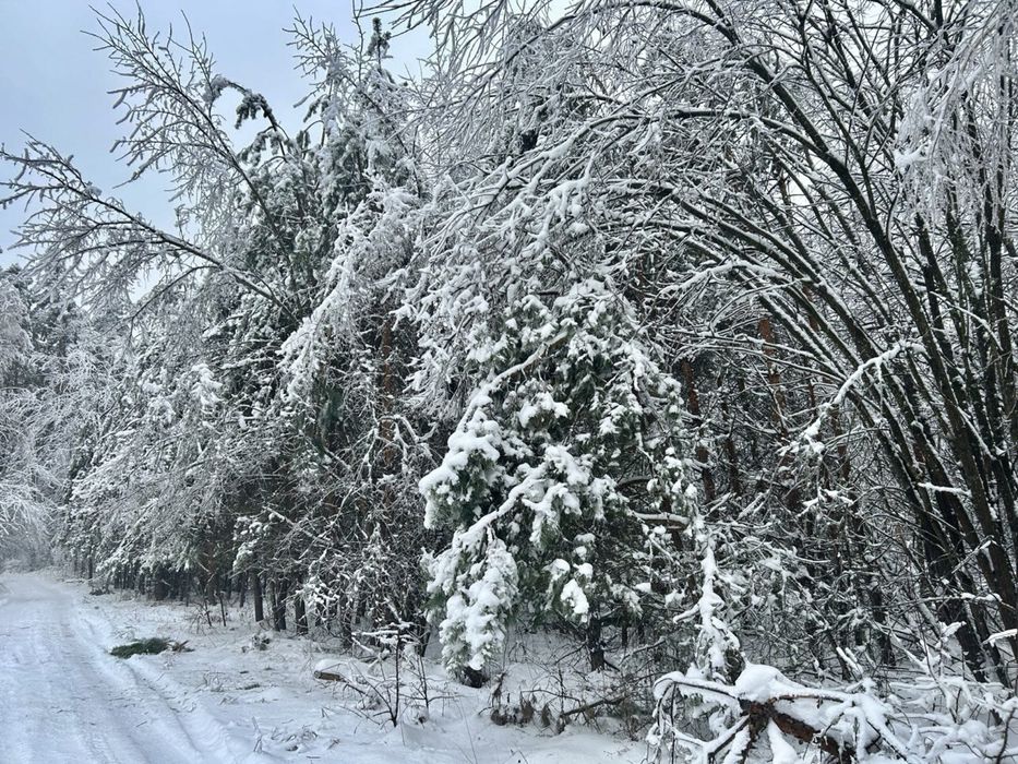 Земельна ділянка 2 Га!!! Копилів ! Терміново!