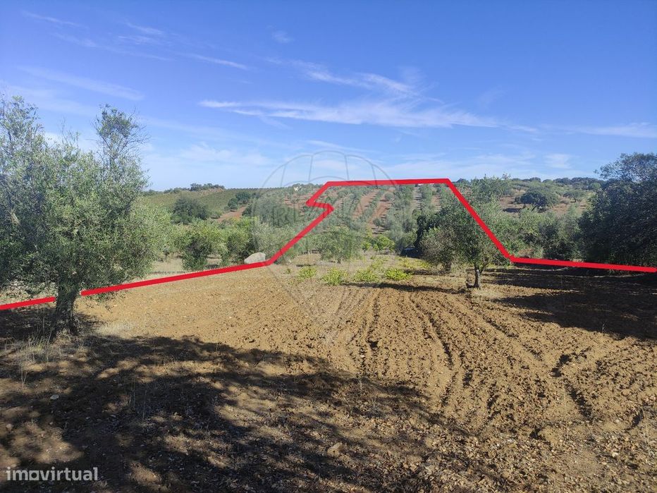 Terreno  para venda
