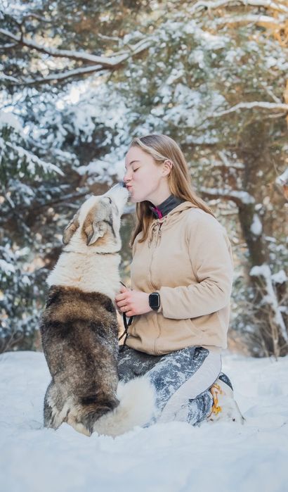 Aki - pies dla aktywnych