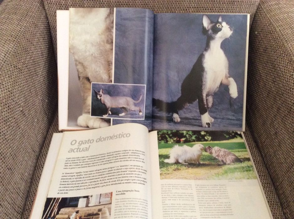 Emviclopedia do Gato