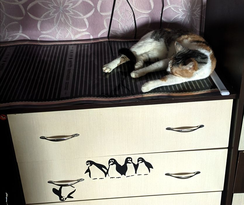 Термоковрик,Коврик электрический,инфракрасный,Обогреватель для цыплят