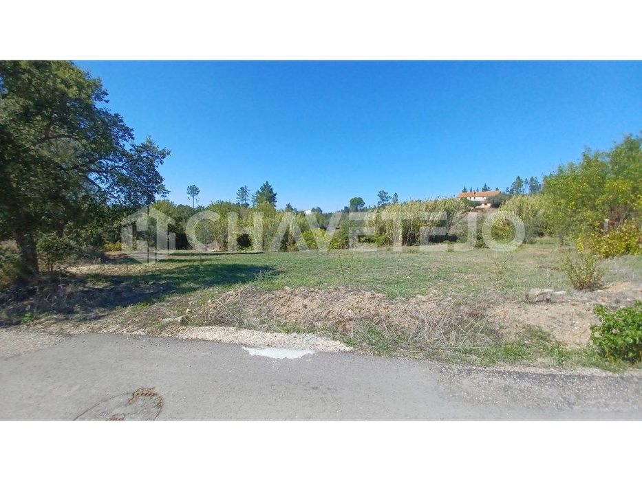 Terreno com possibilidade de construção perto de S. Pedro de Tomar.