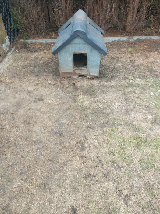 Sprzedam bude dla psa