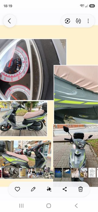Zipp