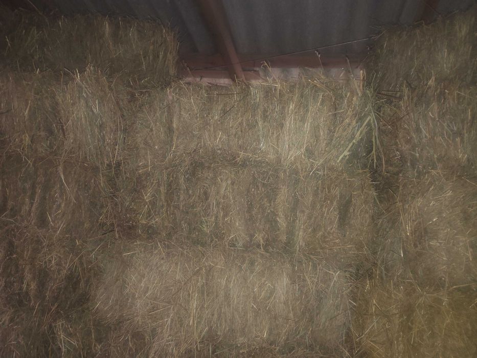 Продам сіно тюками