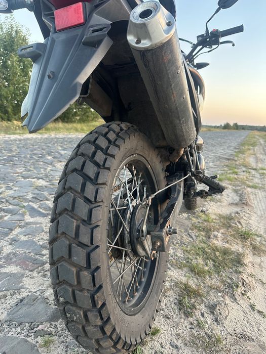 Продам Лонкін прус 200