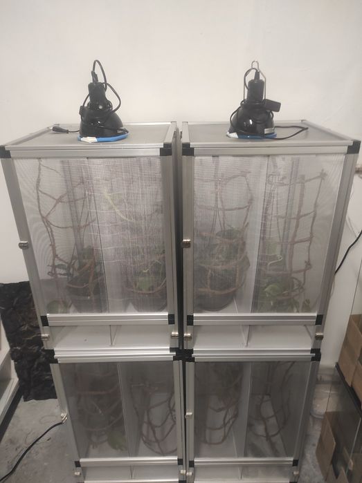 Terrarium siatkowe 43 x 43 x65