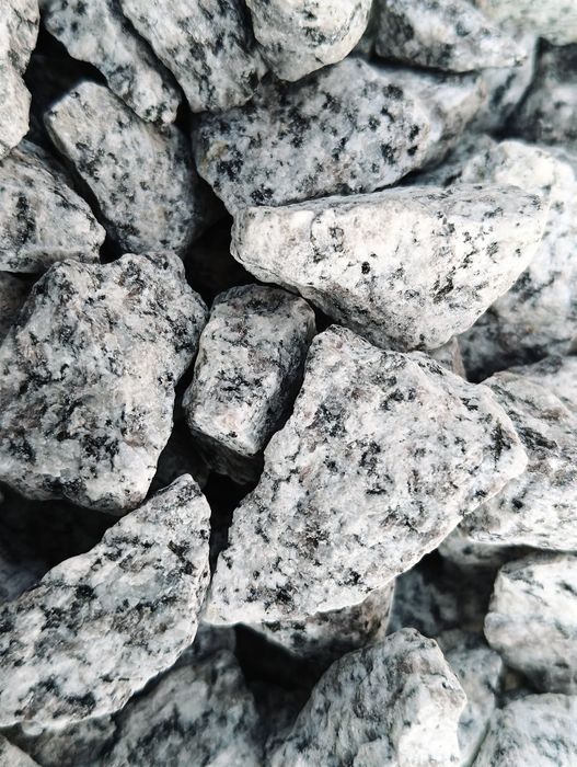 ‼️ dalmatyńczyk kamień ogrodowy grys granitowy