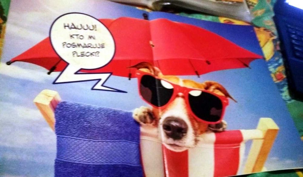 Плакат ,постер пёс Пaтрoн,сoбaкa пoрoды Джек-рассел-терьер