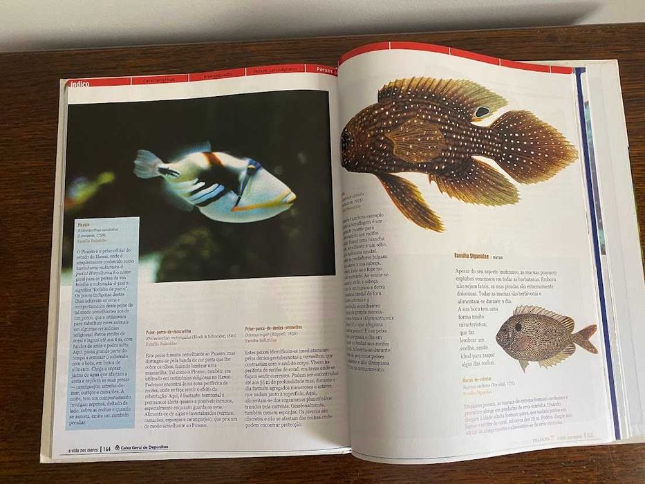 A Vida nos Mares – Uma visita guiada ao mundo submarino