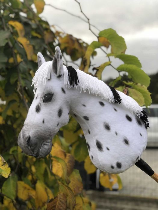 Tarantowy hobby horse