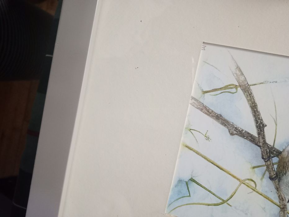 Obraz ptaki rustykalny oprawiony